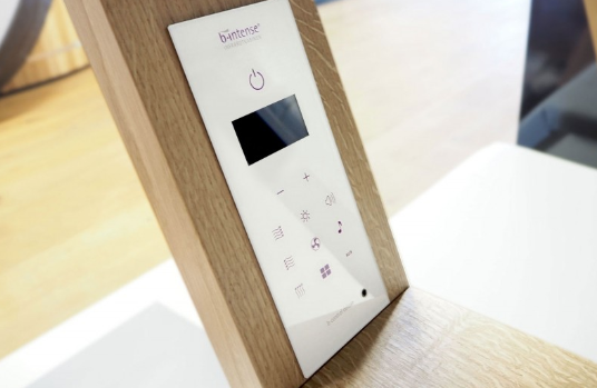 Télécommande de la Cabine Infrarouge