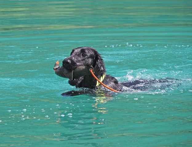 Jamala 1 an la passion de l‘eau