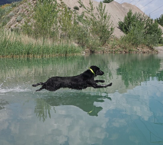 Jamala 3 ans toujours à l‘eau