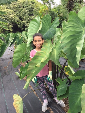 Kaleigha Van Dyke Amy Greenwell Garden Hawaii