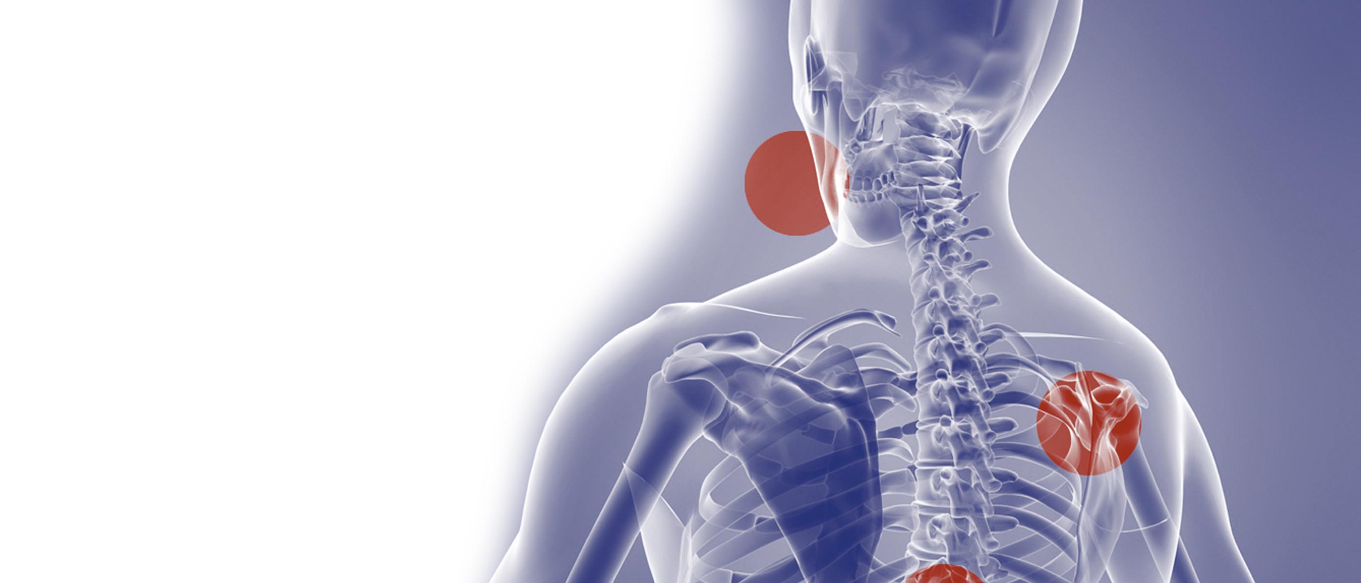 Fysiotherapie Leeuwarden (Aldlân en Huizum), Franeker Welkom bij Paraflex! Fysiotherapie Leeuwarden (Aldlân en Huizum), Franeker Welkom bij Paraflex!