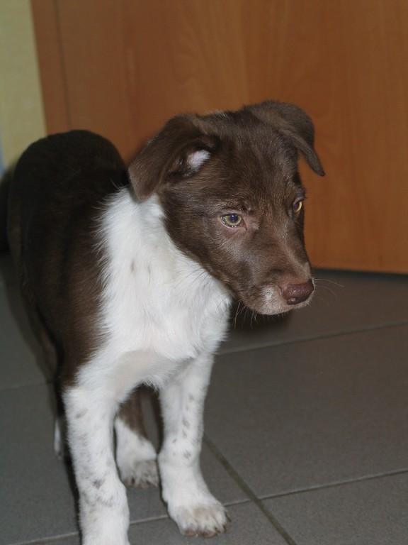 Klein Mummi