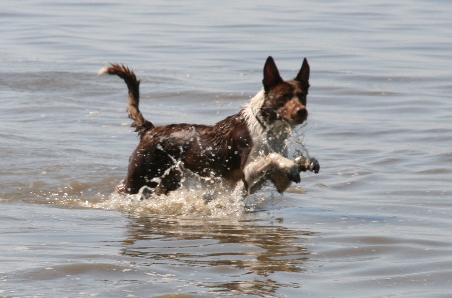 iiiiiiii Wasser