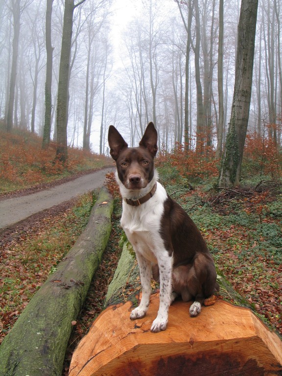 kleiner grosser Mann