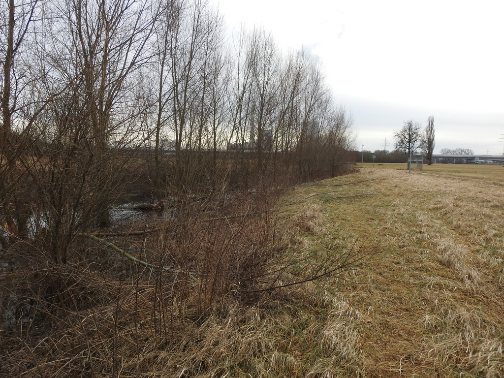 Ein kleiner vor etlichen Jahren angelegter Kanal ist jetzt zum Biberrevier geworden.