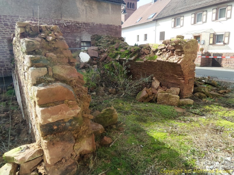 Das wäre ein sagenhaftes Habitat für Fauna und Flora.
