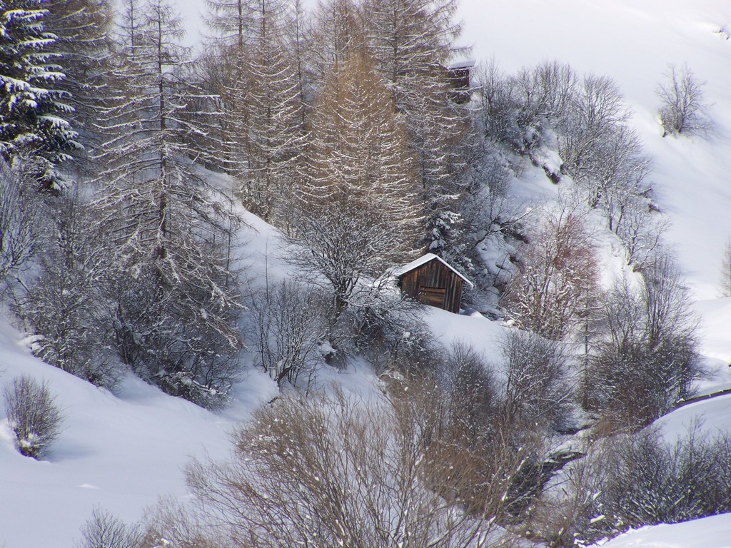 Tief verschneite Hütten - Ausblick von Ferienwohnung 2