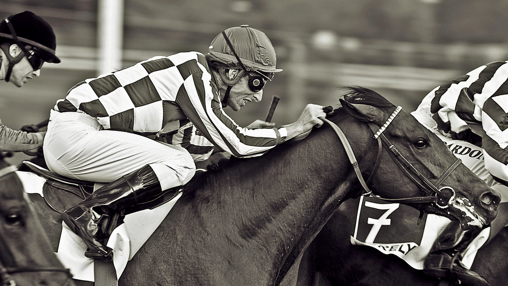 Finaliste (amateur Sport) aux Sony World Photography Awards 2010