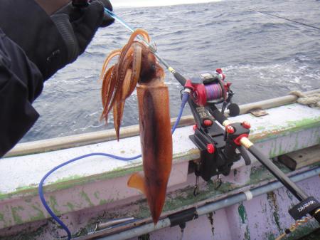 スルメ沖釣りイメージ