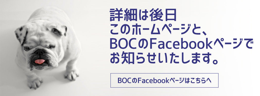 BOCのFaceBookで情報発信中