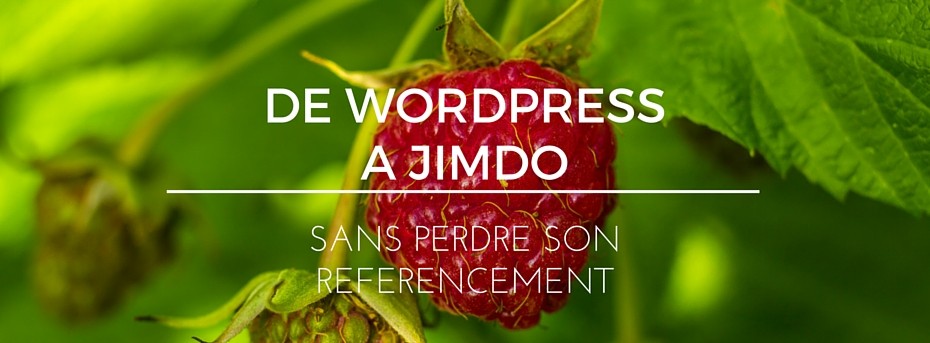 De Wordpress à Jimdo sans perdre son référencement