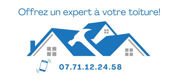nettoyage toiture lyon