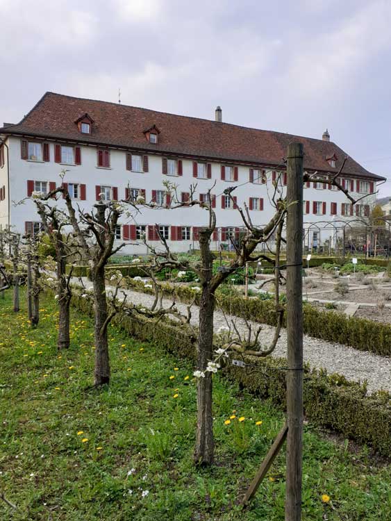Kloster Dornach, Basel