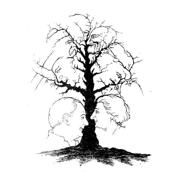 Was Siehst Du Auf Dem Bild 94