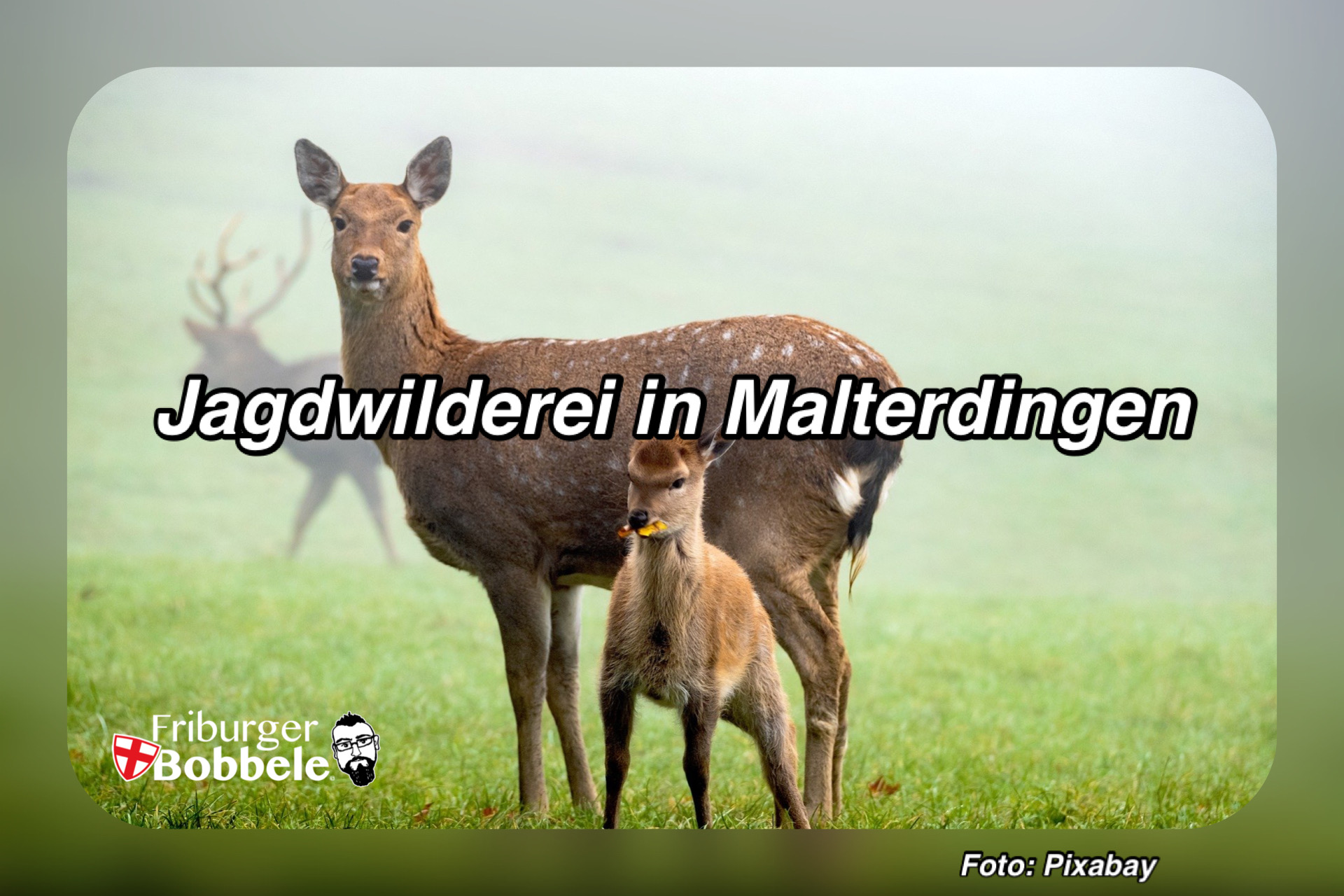 Jagdwilderei in Malterdingen - Zeugen gesucht