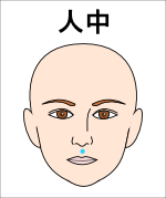 人中（じんちゅう）