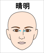睛明（せいめい）