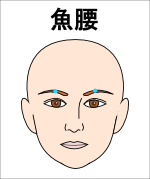 魚腰（ぎょよう）