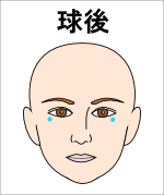球後（きゅうご）