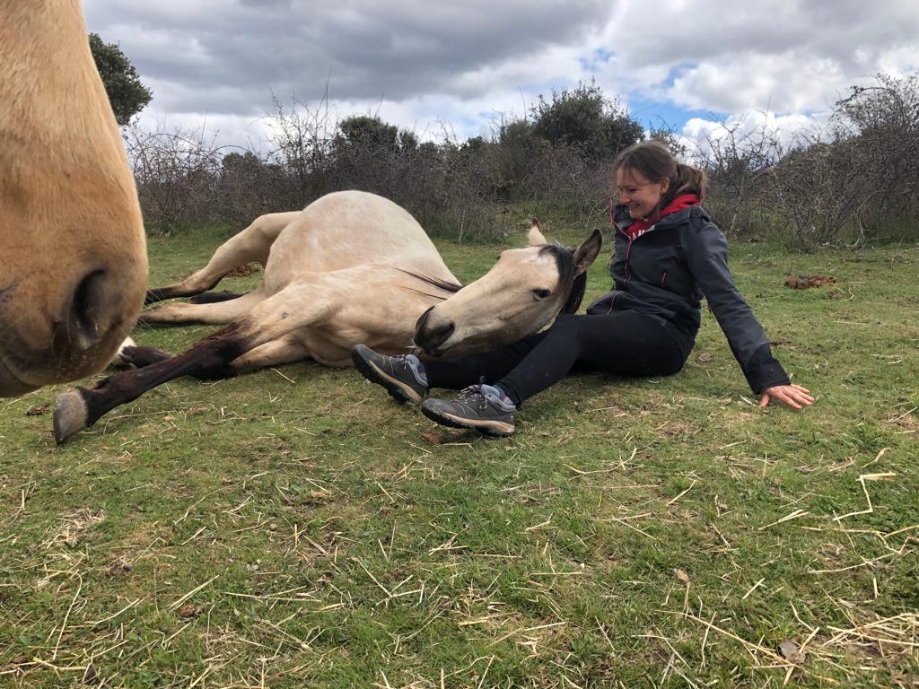 Pferd und Mensch in freudigem Einklang, tiefe Pferd-Mensch-Beziehungen