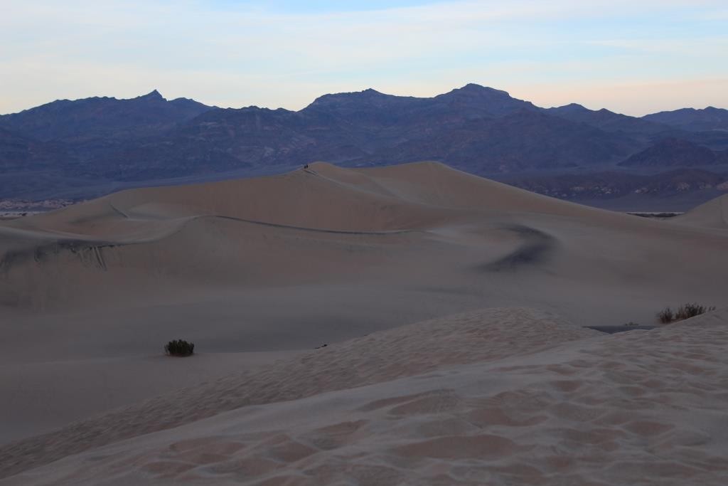 Mezquite Sand Dunes