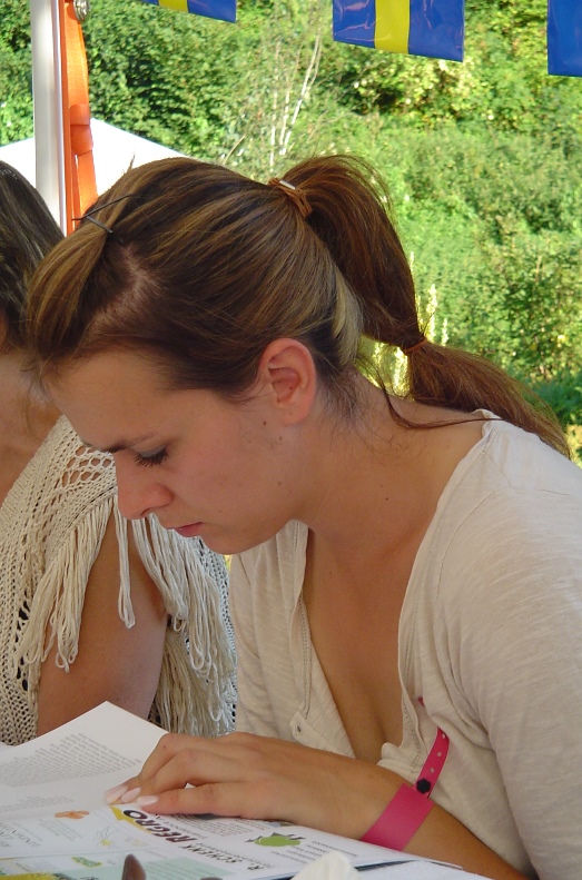 Programm-Studium