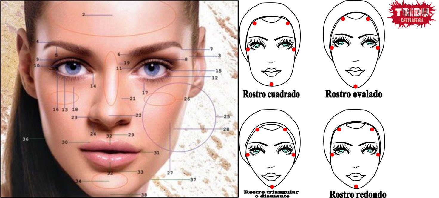 Visagismo - Peluquería Tribu estilistas Salamanca Visagismo - Peluquería Tribu estilistas Salamanca