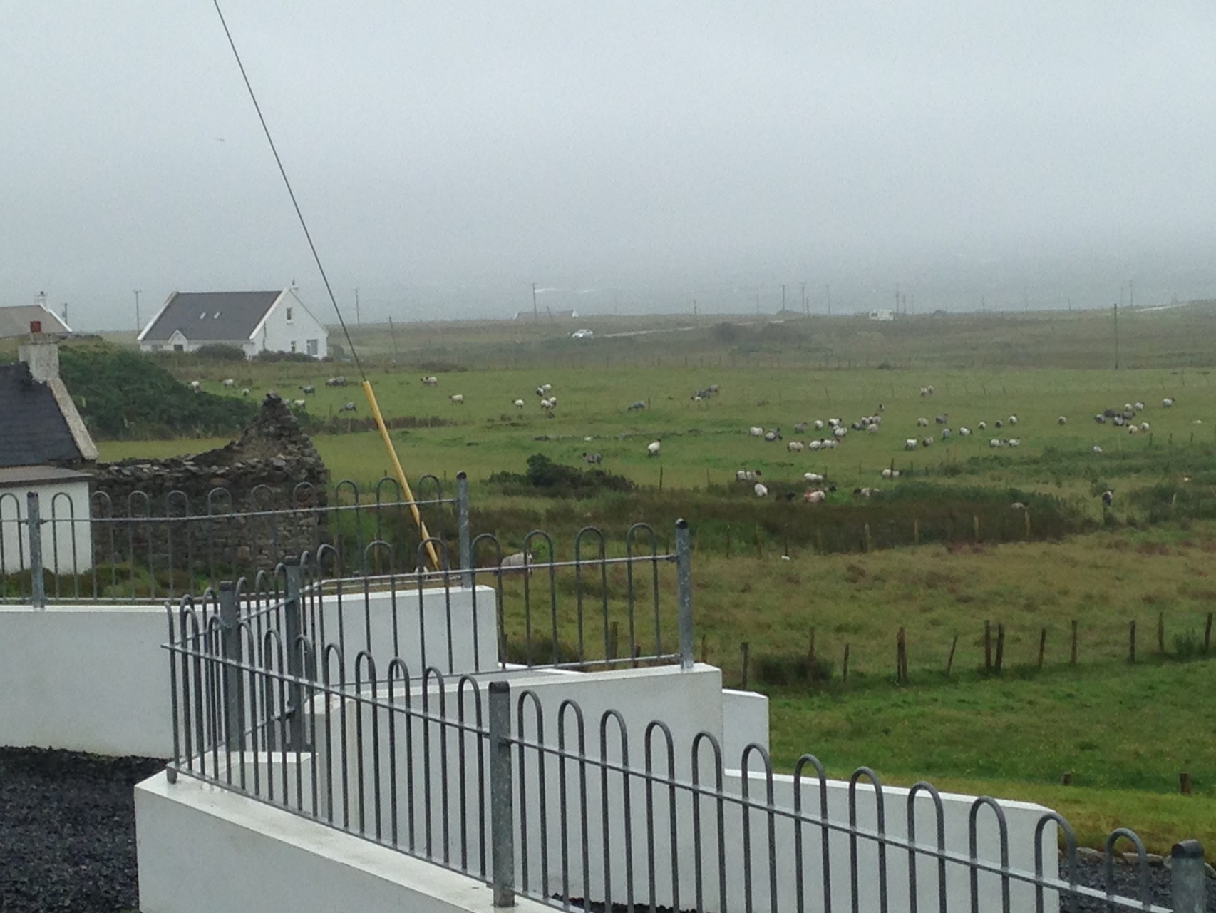 宿近くの景色。ここにも羊がたくさん。