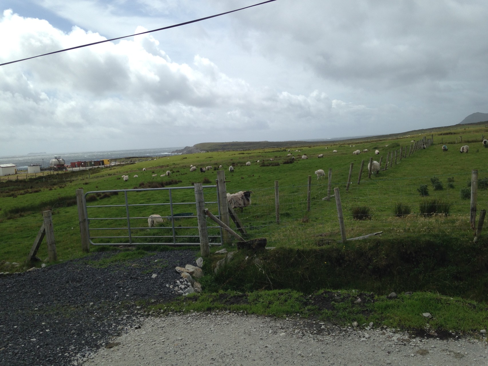 1. アキル島の漁港にも羊たちが。