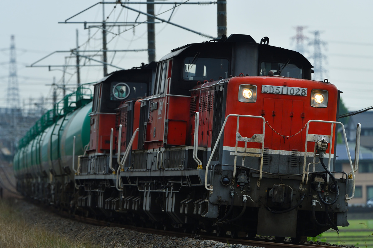 鉄道　DD51 本 Amazon.co.jp: 鉄道車輌ガイドVOL.20 DD51 (NEKO MOOK) : 本