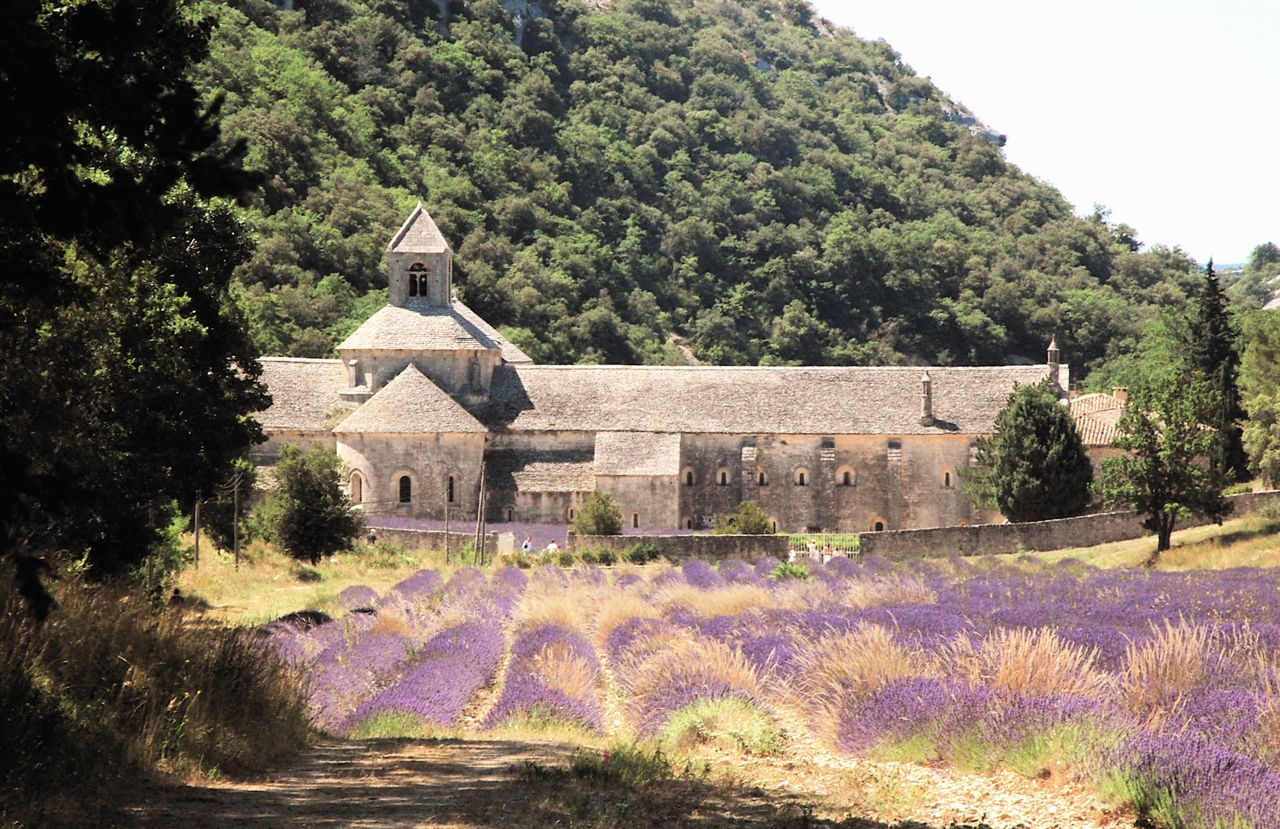 Kloster Sénanque aus dem 12. Jahrhundert
