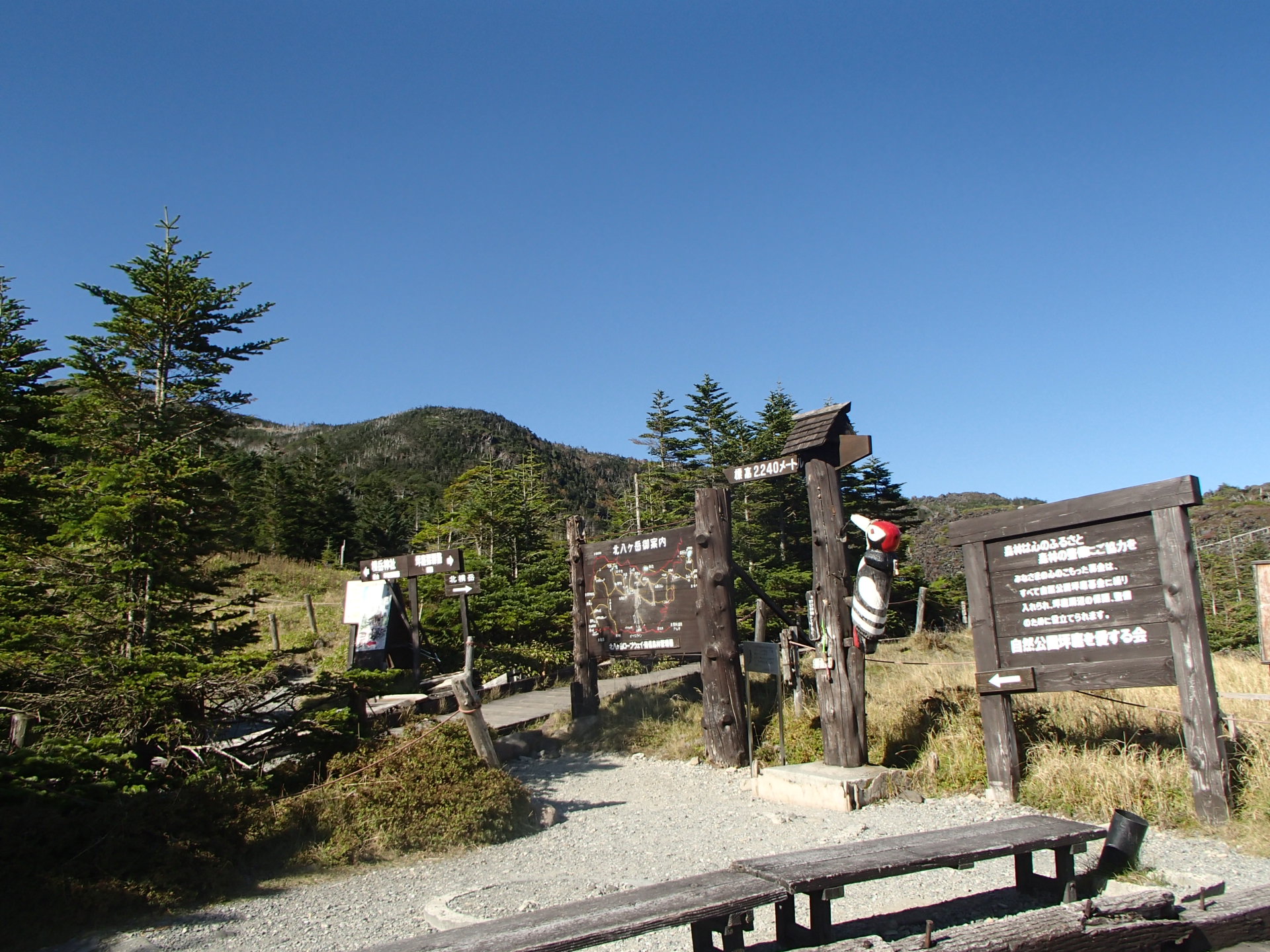 初心者向き北横岳登山 登山ガイドが案内する八ヶ岳の登山情報 初心者向き北横岳登山 登山ガイドが案内する八ヶ岳の登山情報