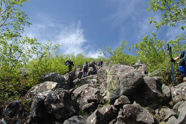 蓼科山　登山　ガイド