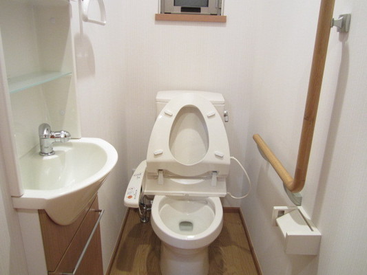 トイレクリーニングの実例