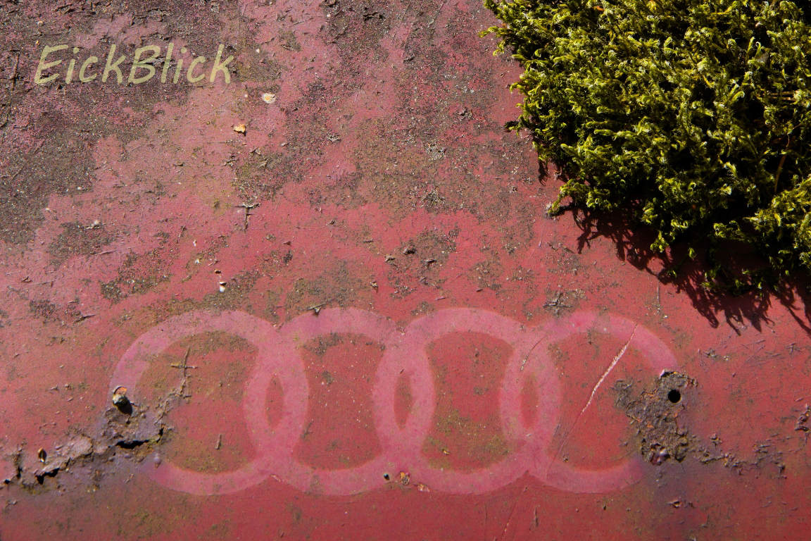 Reste eine Audi Emblems