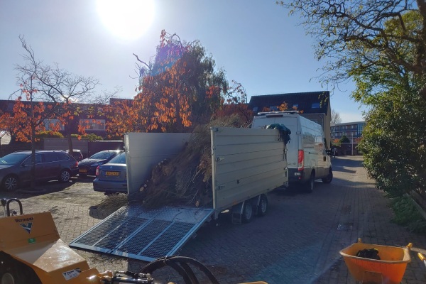 Van bomen snoeien tot planten en onderhouden, wij nemen als expert in boomverzorging in Hoogeveen graag al je boom zorgen uit handen.