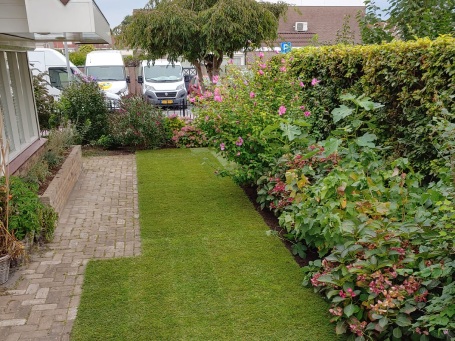 Een mooi onderhouden tuin met een net gazon verzorgd door CB.Boomverzorging en Groenprojecten