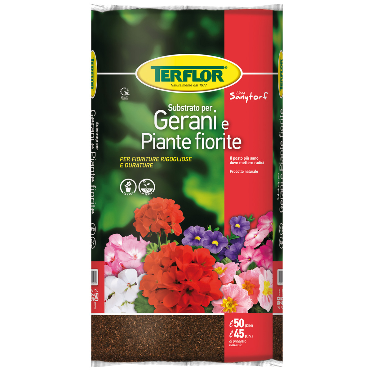 Gerani e Piante Fiorite