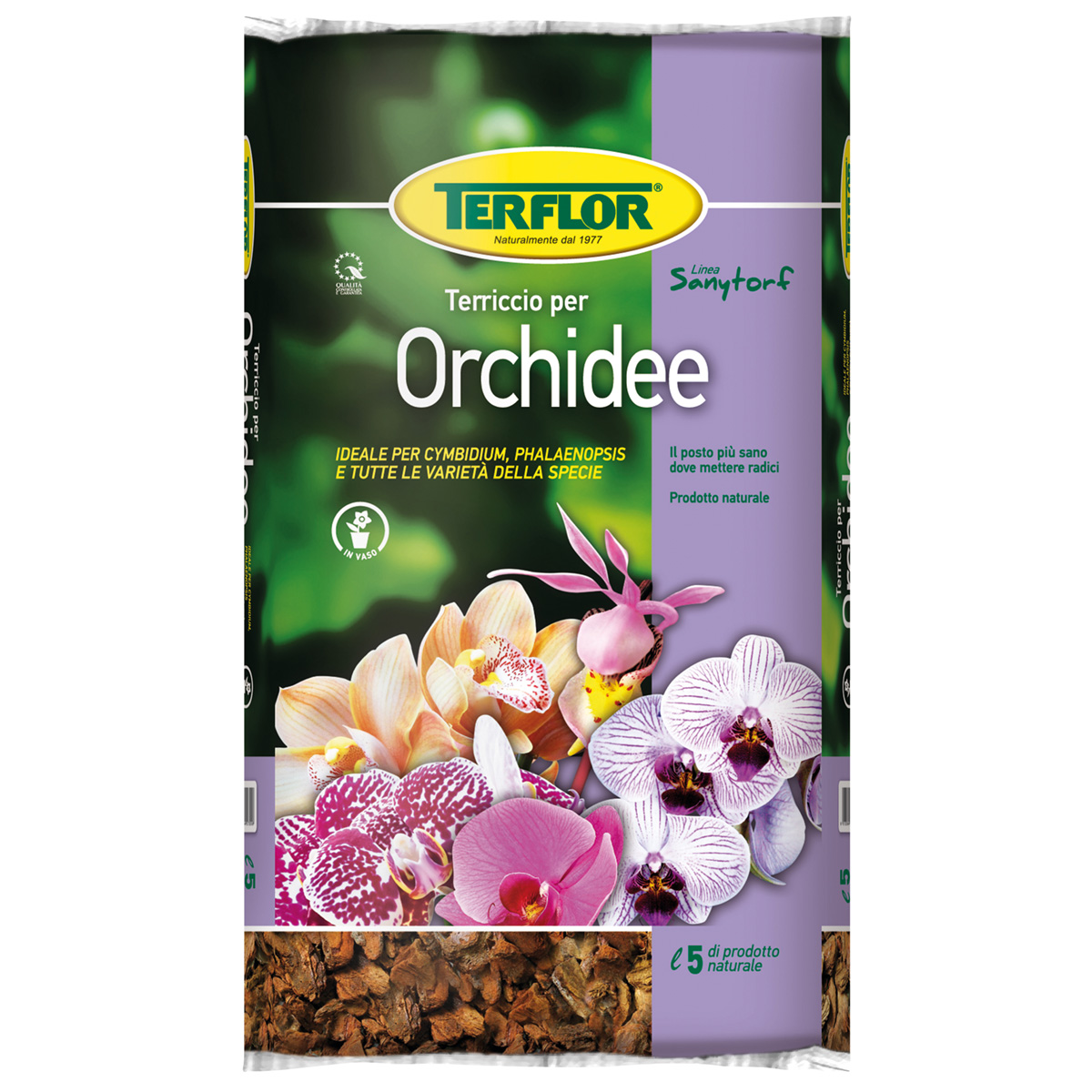 Orchidee