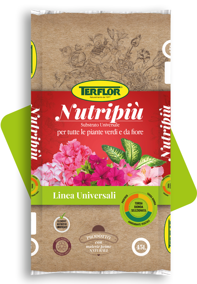 Nutripiù