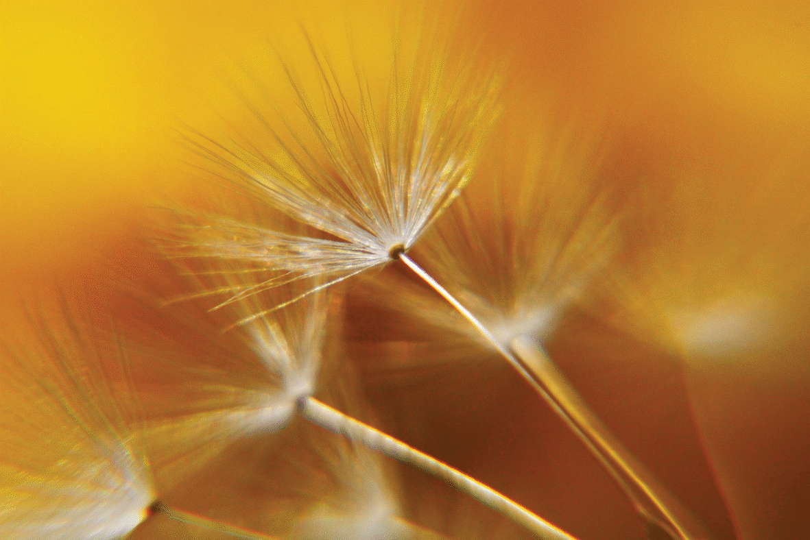 Die Relevanz von Change Management