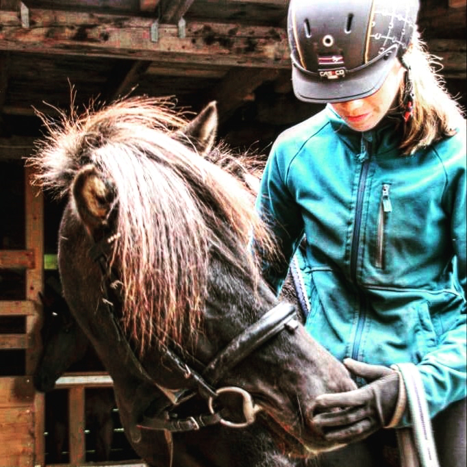 Unterricht Bodenarbeit mit  Pferd und reiten für Kinder, Jugendliche und junge Erwachsene in Konz