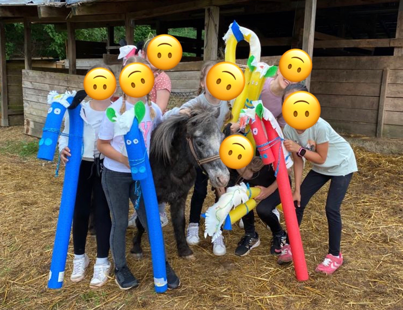 Geburtstagsfeier Kindergeburtstag Pferdemädchen Ponys Reiter Spiel Spaß Abenteuer