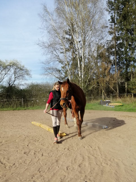 Einfach mal reinschnuppern ins Geitner Training