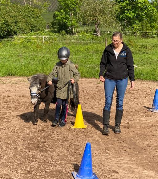 Reitunterricht Konz, Reitunterricht Trier, Reitunterricht Saarburg, Reiten Konz, Reiten Trier, Reiten Saarburg