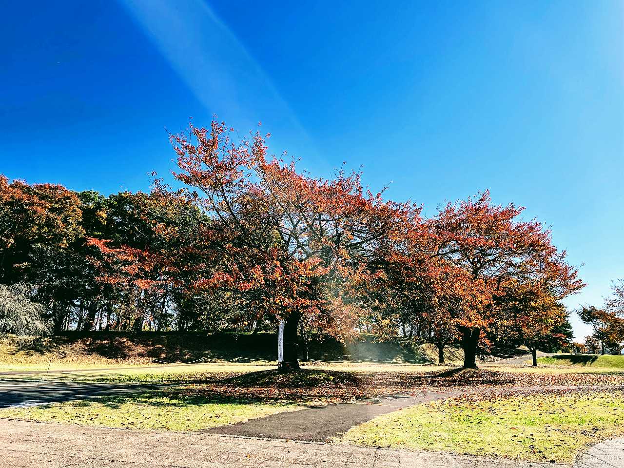 【2025年11月】九星気学と宿曜から見る毎日の運気