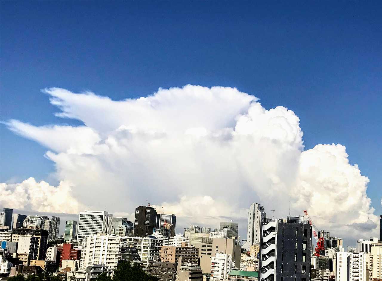 青木柚さんの性格・運気・運勢とは？