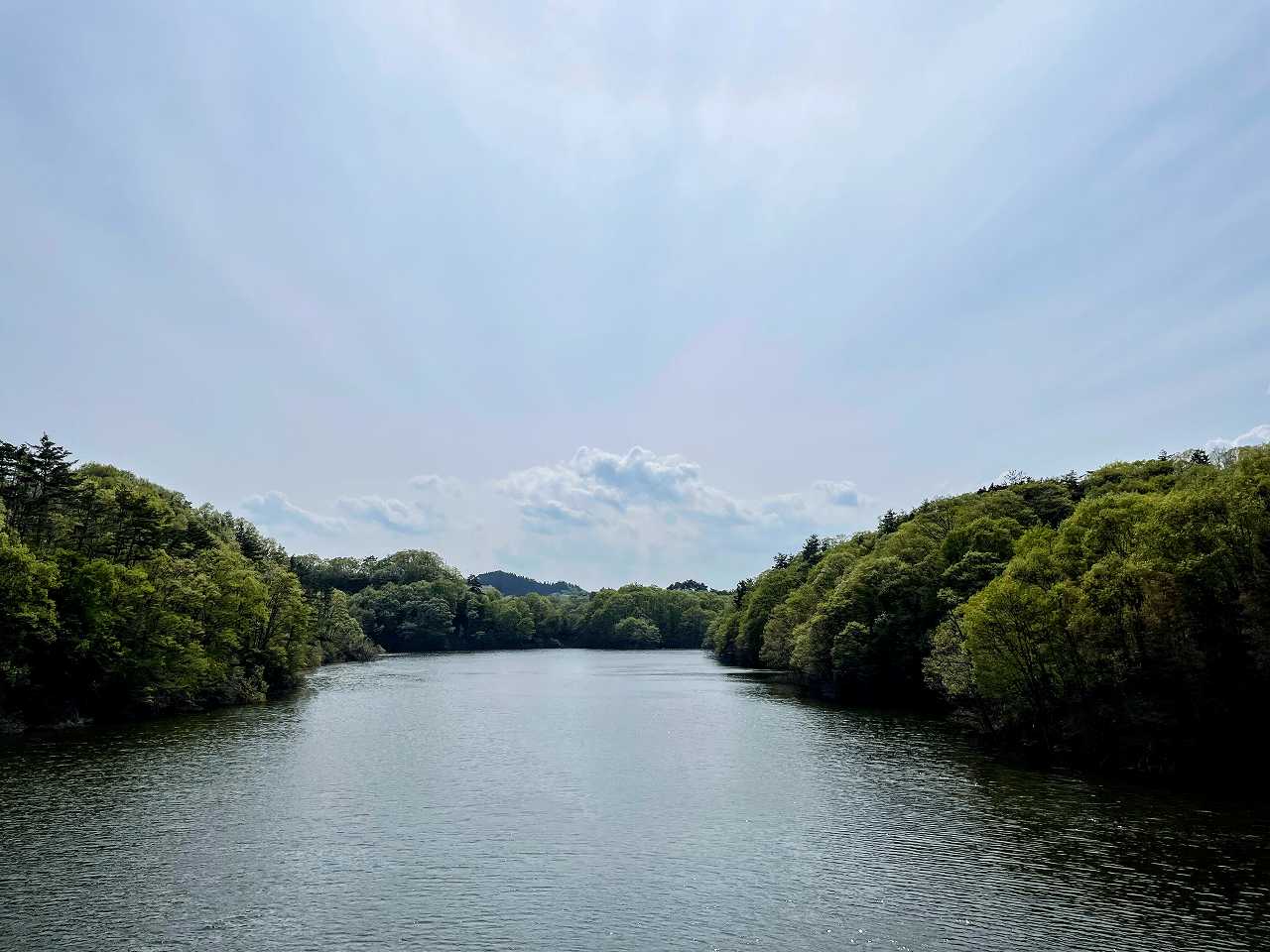 【四緑木星】最も運気が強いのは？本命星・月命星・傾斜宮の組合せは？