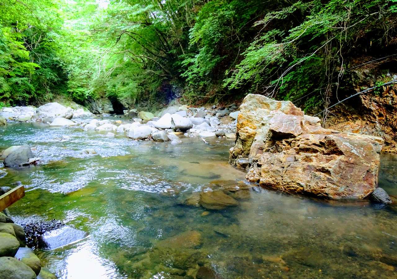 キムラ緑子さんの性格・運気・運勢とは？