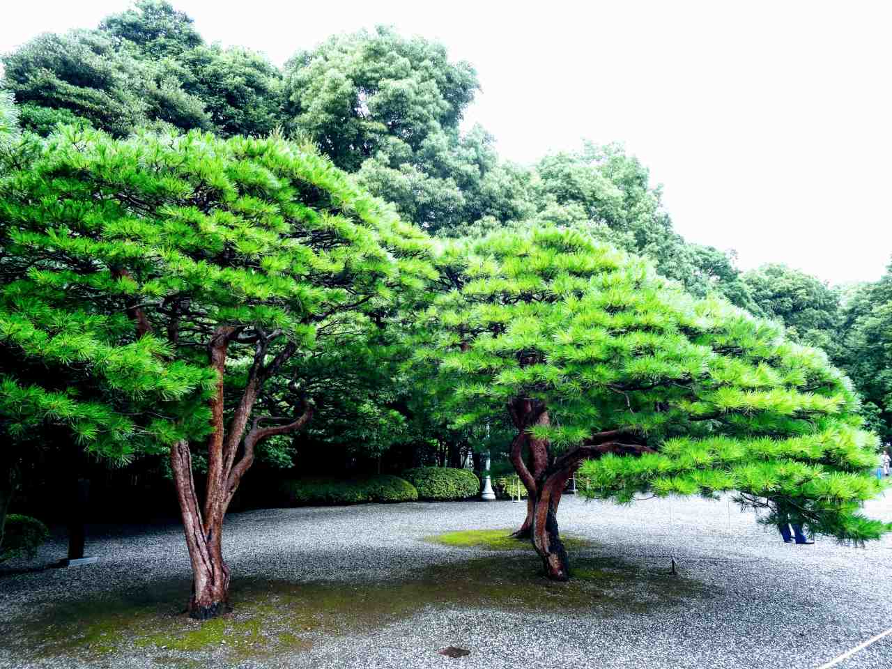 小栗上野介（忠順）の性格・運気・運勢とは？
